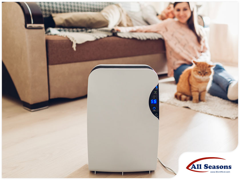 3 Questions to Ask Yourself When Buying an Air Purifier